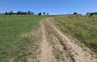 Teren 3.800 mp Dealu Daii (Zona Bungard/Zorabia) Utilitati in vecinatat - 1