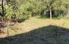 Vand casa+spatiu comercial - 10