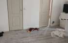 Apartament 2 camere Hunedoara - 3