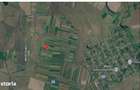 Teren extravilan arabil Com. Misca, jud. Arad - 2