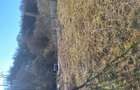 Teren de vanzare .2000 m. - 3
