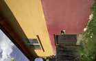 Vand Casa in Oarta de Sus - 6