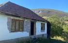 vand casa cu gradina - 7