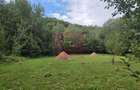 Teren de vanzare 15.000 mp in Telega - 5