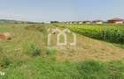 Teren intravilan 2.900 mp | Jucu de Sus - 2