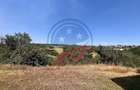 Vila cu 6camere de vanzare in Carcea/Dolj - 5