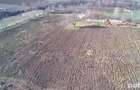 Teren intravilan de vanzare, Aleea Albina, Botosani, 79 euro mp