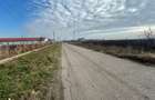 Vand teren intravilan,zona industriala,st.16,8 ha. + 8 ha.agricol,in Sanicolau Mare, la DN6,la sosea - 9