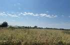 Vand teren intravilan 9.000 m in Joi?a, Giurgiu utilita?i la drum!