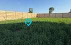 Case individuale -Comana Giurgiu situat langa Lacul Comana - 8