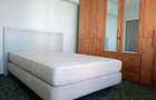 De inchiriat apartament 2 camere Piata Victoriei - 3