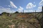 Teren Intravilan 586 Mp | Zona Paleu | Bihor - 2