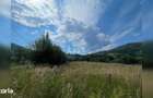 Teren cu poten?ial turistic, cadru natural rar, 20.000 mp Sacuieu - 12