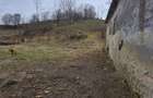 Teren intravilan in Zlagna - jud. Sibiu - 6