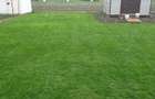 Duplex 100 mp cu gradina 200 mp de inchiriat Mo?ni?a Veche - 2