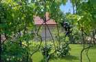RECO Casa cu 5 camere in Oradea zona Oncea - 10