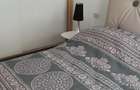Apartament 2 camere mobilat utilat termen lung Vega - 4