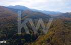 Teren 2.000 mp in Valea Avrigului Padure, apa curgatoare si liniste