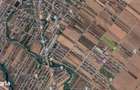 Teren in Rate Primaverii, Comuna Berceni | curent si gaz la lot |#EG38 - 2
