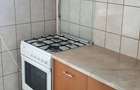 Garsonieră confort 1 sporit (decomandată, 42mp) - 8