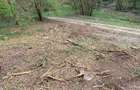 Pasune cu padure 5.5 ha sat Dumbravita Com Barzava - 6