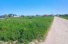 Vrei liniste si aer curat? Terenuri ideale pentru casa in Cosoba - 3