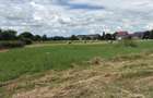 Terenuri intravilan 1500/2300 mp, Zonă în dezvoltare, cu locuințe în apropiere - 11