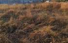 Teren intravilan cu toate utilita?ile 400m - 5