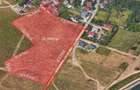 TEREN LACUL MORII Suprafata 28.000 mp Intravilan Deschidere 222 ml Carte unic proprietar - 7