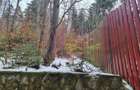 Vila de vanzare in Sinaia - Zona Cumpatu - 6