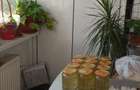 Apartament decomandat 3 camere + living de vanzare in zona Ostroveni