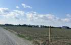 Lot teren intravilan Ciolpani - padurea Snagov - 5
