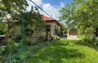 Casa cu 4000 mp teren, Letca Noua, Giurgiu 40 min de Bucure?ti - 16
