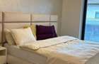 4 CAMERE COMPLET MOBILAT - GARAJ INCLUS IANCU NICOLAE - 14