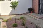 Vile PARK Residence 3 Lumina posibilitate rate - 8