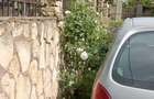 Casă individuală cu 5 camere cu Teren 500 Mp în Valu lui Traian - 4