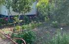 Casa cu teren 4000 m2 in Bihor, Abramut - 3
