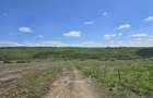Teren intravial - Valea Lupului 665 m - 3