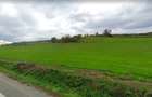 Teren extravilan 42000MP Seica Mare - Sibiu - 3