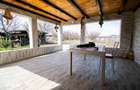 Mitreni-Valea Rosie-Acasa la Tara -4 camere-178 mp-LOT 1000 mp+Casa s - 14