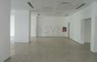 REC0001741 Spatiu Comercial Piata Victoriei - Titulescu - 6