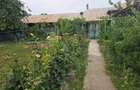 Vand casa comuna Mavrodin TR - 3