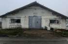 Hala Industriala, 175 mp, zona Exterior Sud - 6