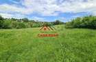 Teren intravilan in Campina--4355mp--28.500 euro - 2