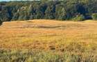 vand teren circa 20 hectare