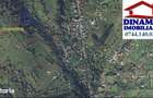 3600 mp teren intravilan, sat Bistrita, 14 Euro/mp