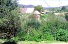 Casă de vânzare în Provita de Sus | Oportunitate de investiție - 12
