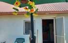 Casa de vanzare, 64.30 mp, Lacrita Mare - 18 km de Craiova - 1