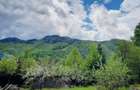 Teren intravilan 800 mp Darste Brasov - 2