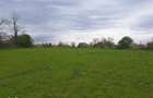 Teren intravilan 3615mp-Salcioara, jud Tulcea- deschidere la balta/lac - 7